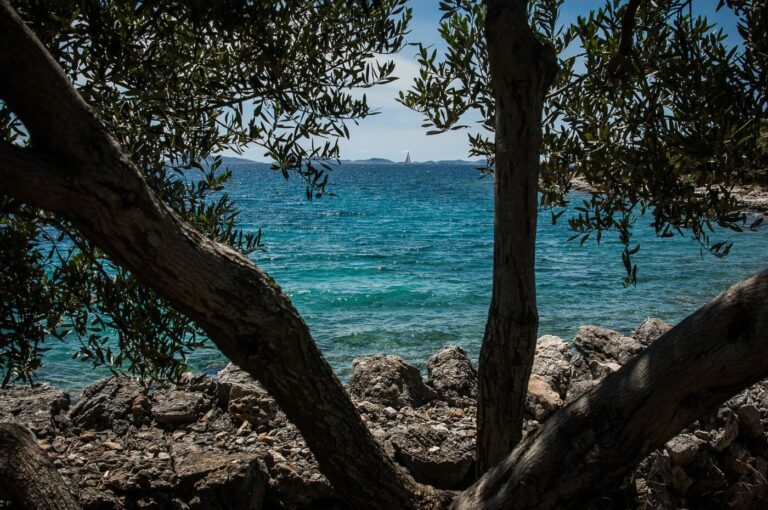 Chorvatsko Murter Tiso pohled na moře